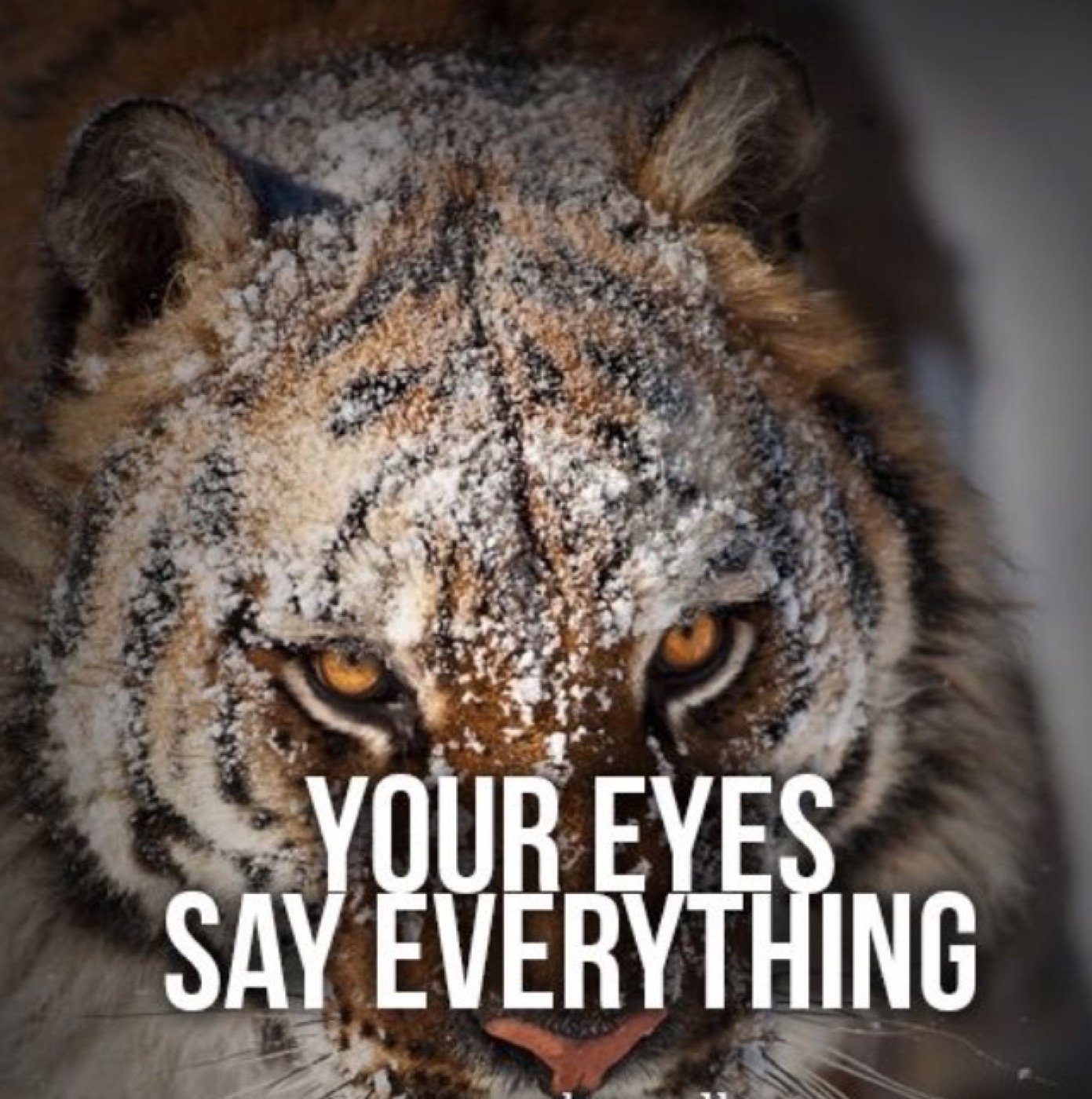 Eye control is mind control!